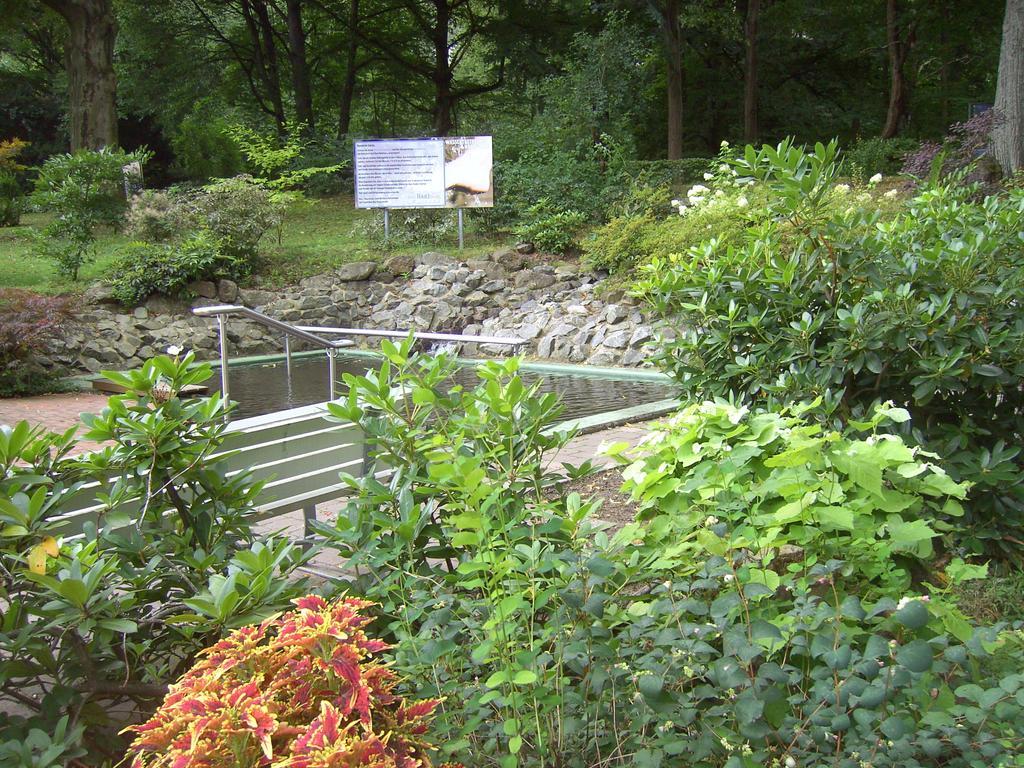 Harzburger Ferienwohnung Bad Harzburg Phòng bức ảnh